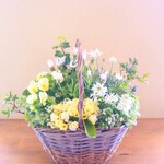 🌼ホワイトラベンダーと可愛い春のお花の寄せ植えバスケット　贈り物にも*