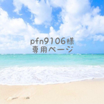 pfn9106様専用ページ