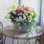 【魔女の花】真っ赤なアザレアとお花達の花束植えバスケット