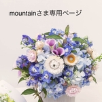 ◇mountainさま専用ページ◇