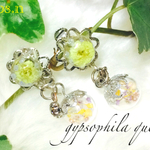 gypsophila queen. かすみ草とキラキラ揺れるビーズのガラスドームイヤリング  ビジュー