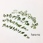 🌿🌱小さなグリーンを集めて…  ＊ 押し花