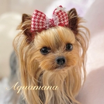 【 犬用❤️バレッタ 】 おしゃれ　トップノットペット　子供　ヘアアクセサリー　リボン　バレッタ　♡AquaMana♡