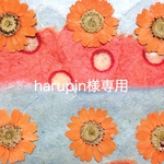 harupin様専用