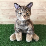 t様オーダーメイド品(キジトラ成猫ちゃん)