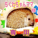 ちくわちゃんママ様　専用　春🌸かまくらハウス　Mサイズ（🍓柄）