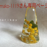 mako-1119さん専用ページ