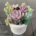多肉植物　寄せ植え　リメイク缶2♪