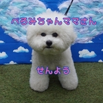 ぺろみちゃんママさん専用ページ