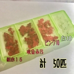 森澄工房 様　専用枠