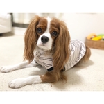 春のボーダーTシャツ（L）