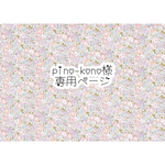 pino-kono様　専用ページ
