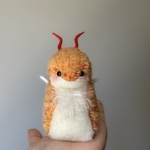 ドラウシ