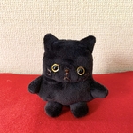 うちの子プチネコのぬいぐるみ（クロ）