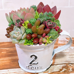 多肉植物　寄せ植え　No.2