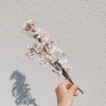 mini flower/さくら/A072