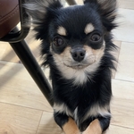 kikoさま
