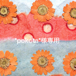 *pokota*様専用