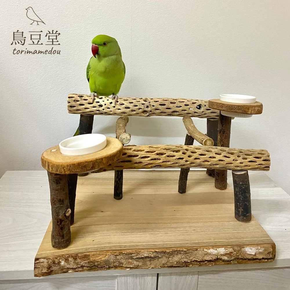 カクタスパーチ - その他の人気通販 | minne 国内最大級の