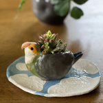 可愛い陶器の小桜インコ🦜植木鉢＆ぷかぷか雲が浮かぶ爽やか青空プレート付き