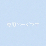 専用ページ