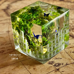 Steam Garden〜円形闘技場〜