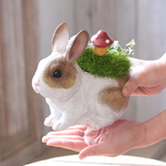 モフうさぎ　きのこ