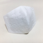 送料無料【透かし桜 白】立体マスク レースマスク 桜 花柄 白マスク 入学式 フォーマル プレゼント