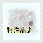 専用特注品♪