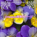 こちら💁🏻‍♀️はprincess72 様専用ページです