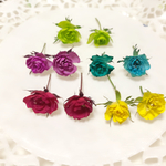ドライフラワー 花材 素材 極小ミニバラ リトルウッズ 染め