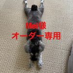 ★Mei様専用★パラコード　カフェリード　ブラック