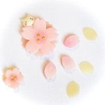 【予約販売・3/20発送開始】『桜・白猫ましろちゃん Aセット』～心と光のコラボネックレス用～