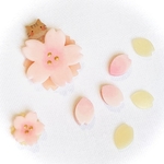 『桜・キジトラ猫チョコレットちゃん Bセット』～心と光のコラボネックレス用～
