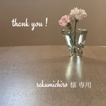 sakumichiro様専用