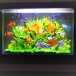 lapinlunair1様の専用ページ　