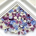 【purple paradise♡】かすみ草ドライフラワー...♪*ﾟNo.74