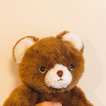 ゆっこりんさまご注文　みなくまさん