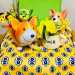 🆕ミモザスィートピーとビィオラコーギーちゃんセット🐶✨