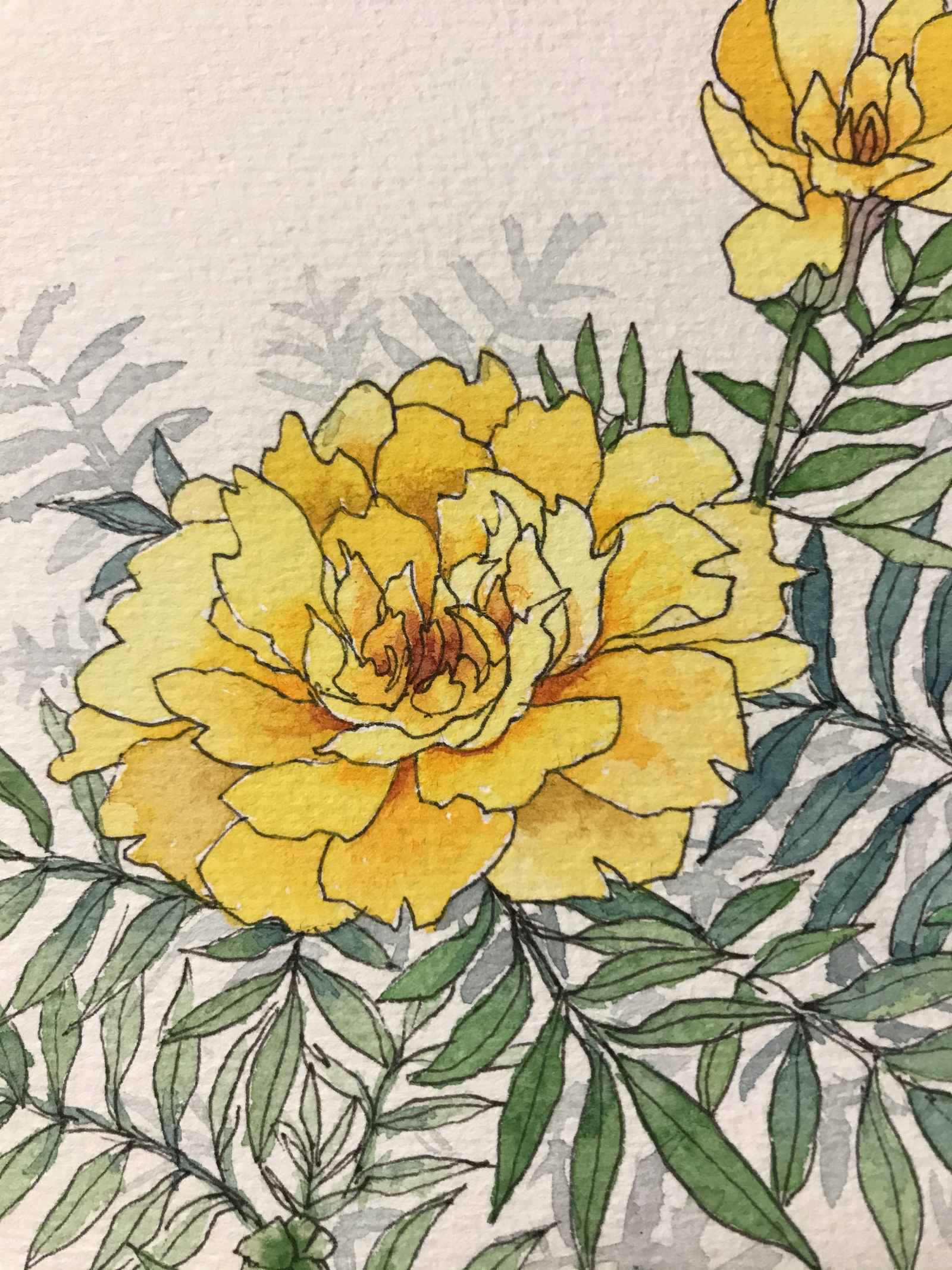 絵画 水彩画　マリーゴールド (原画) マリーゴールド 水彩画 原画 - OEKAKIBABA'S GALLERY | minne