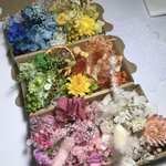 6色セット 3BOX花材セットハーバリウム花材