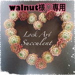 walnut様専用