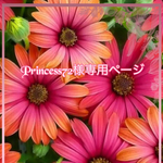 こちら💁🏻‍♀️はprincess72様専用ページです