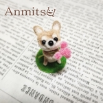 お花摘んできたよ！わんこ　柴犬　