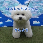 はるもっちママさん専用ページ