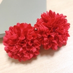 オーダー　マム赤2点セット
