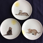 猫の小皿3枚セット
