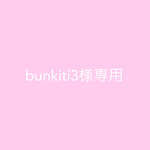 bunkiti3 様専用