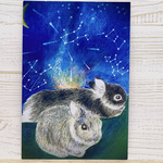 流星群とうさぎ⭐️