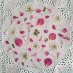 押し花素材　No8　濃いピンク色の小花のセット